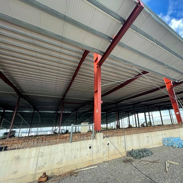 Nhà Xưởng Tại KCN Đình Vũ